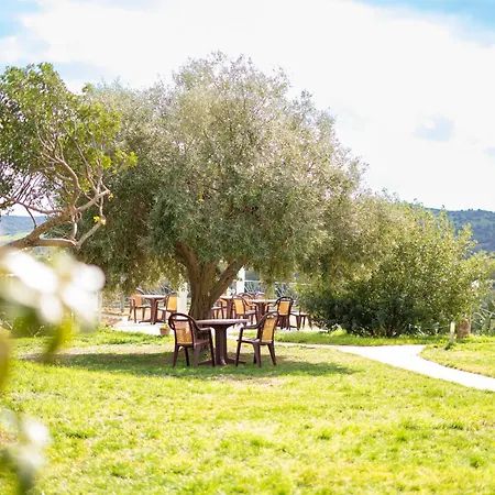 Hotel Essenza Di Mirto 3*